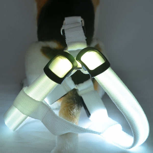 HKM-7754813 LED Illuminated Pet Leashing Vest for Enhanced Night Safety - Multiple Colors Available