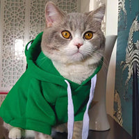 HKM-7755197 Frog Costume Sweatshirt for Small Dogs and Cats – Cozy Hoodies for Autumn Fun
