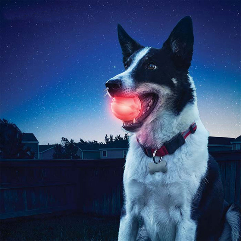 HKM-775635 Dog Toy Ball Pet Cat Solid High Elastic Honeycomb