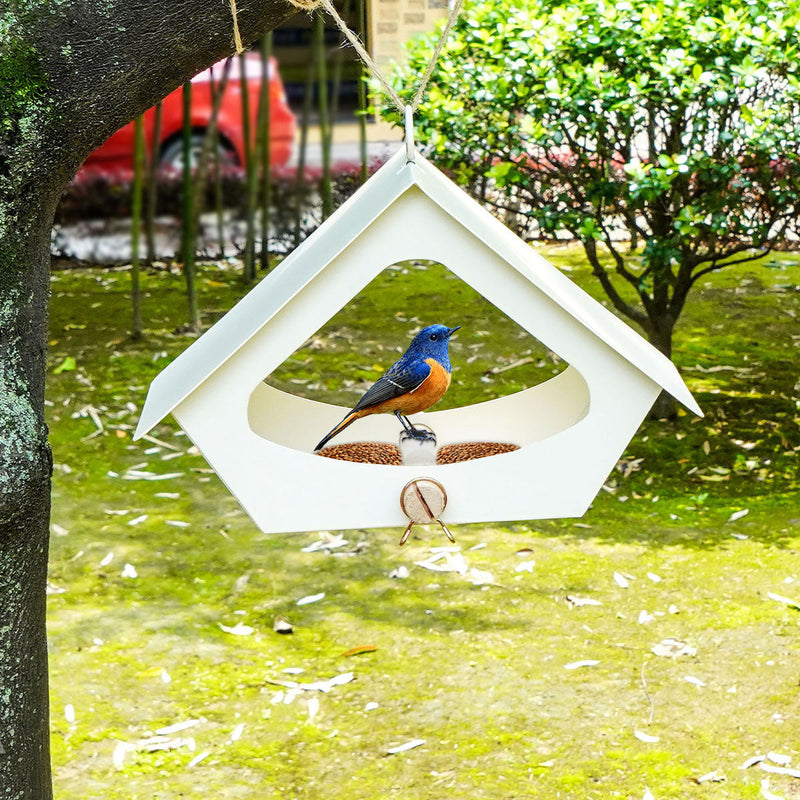 HKM-775955 Simple Iron Bird Nest for Outdoor Courtyard Decoration - Anti-Rain Design