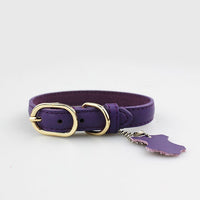 HKM-7763261 Pet Leather Collar - Monochrome Color Options in Blue, Black, Red, Purple, Yellow, Green, Lake Blue, Brown, Available Sizes XS to XL