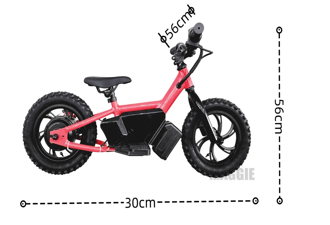 HKM-776595 Electric Mini Balance Bike for Kids, 250W, 36V, 16-inch, Lightweight Aluminum Frame, Disc Brake, Max Speed 22km/h