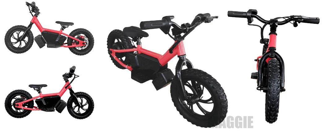 HKM-776595 Electric Mini Balance Bike for Kids, 250W, 36V, 16-inch, Lightweight Aluminum Frame, Disc Brake, Max Speed 22km/h