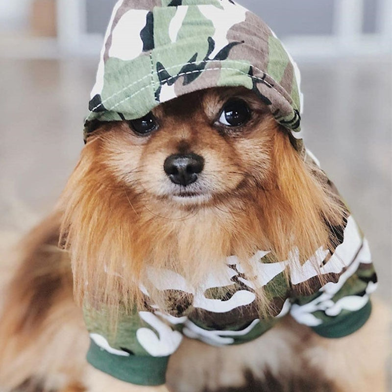 HKM-7769405 Cotton Camouflage Hooded Sweater for Dogs in Blue, Green, and Pink