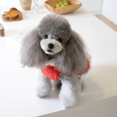 HKM-7771453 Pet Winter Clothing with Thick Fur Collar and Red Chinese Knot Design