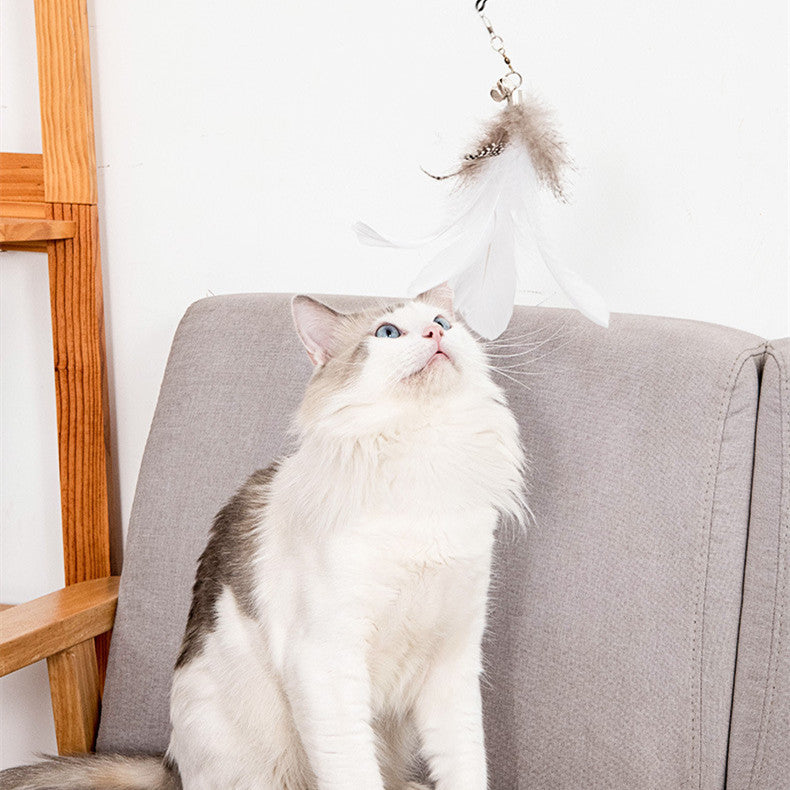 HKM-7771837 Suction Cup Cat Teaser Stick with Elastic Steel Wire and Feather Ends