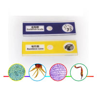 HKM-777299 Student Biology Teaching Microscope with Prepared Animal and Plant Slides for Educational Use