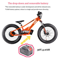 HKM-777747 20 Inch Folding Electric Bike with 800W Rear Hub Motor, 36V 5.0AH Lithium Battery, 3 Speed Gears, Aluminum Alloy Frame