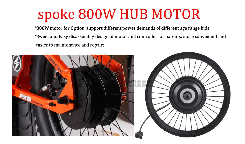HKM-777747 20 Inch Folding Electric Bike with 800W Rear Hub Motor, 36V 5.0AH Lithium Battery, 3 Speed Gears, Aluminum Alloy Frame