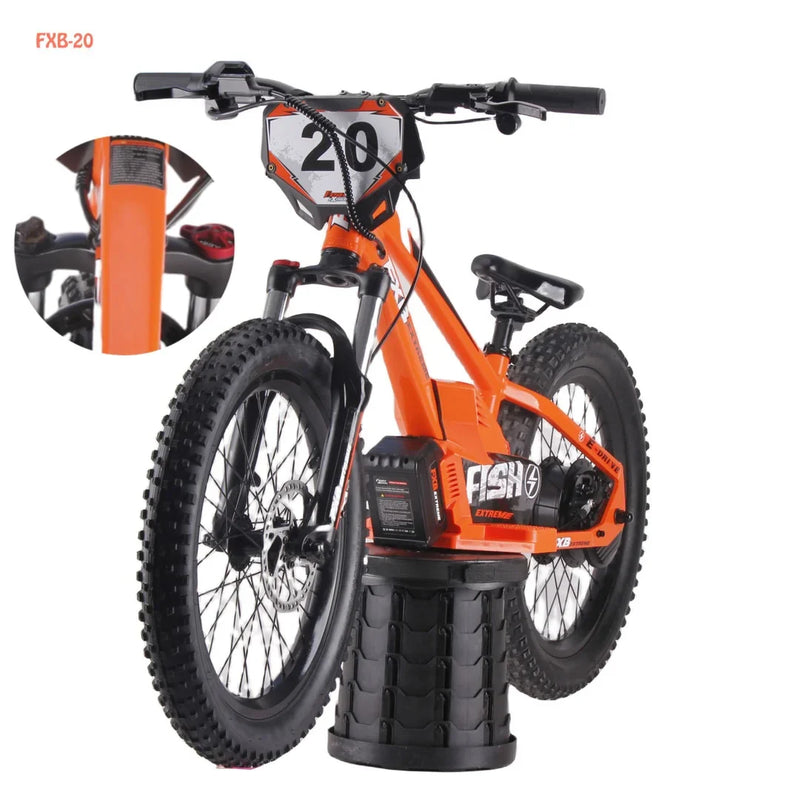 HKM-777747 20 Inch Folding Electric Bike with 800W Rear Hub Motor, 36V 5.0AH Lithium Battery, 3 Speed Gears, Aluminum Alloy Frame