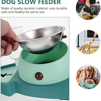 HKM-7780029 Automatic Slow Feeder Pet Bowl with Stainless Steel and Detachable Water Tray for Dogs and Cats