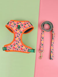 HKM-7781821 Medium and Large Pet Dog Chest and Back Harness with Multi-Color Options for Various Occasions