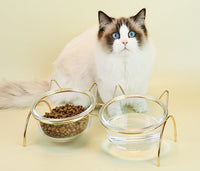 HKM-7788477 Transparent Glass Cat Bowl with Metal Stand for Comfortable Feeding and Drinking