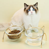 HKM-7788477 Transparent Glass Cat Bowl with Metal Stand for Comfortable Feeding and Drinking