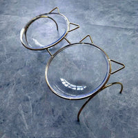 HKM-7788477 Transparent Glass Cat Bowl with Metal Stand for Comfortable Feeding and Drinking