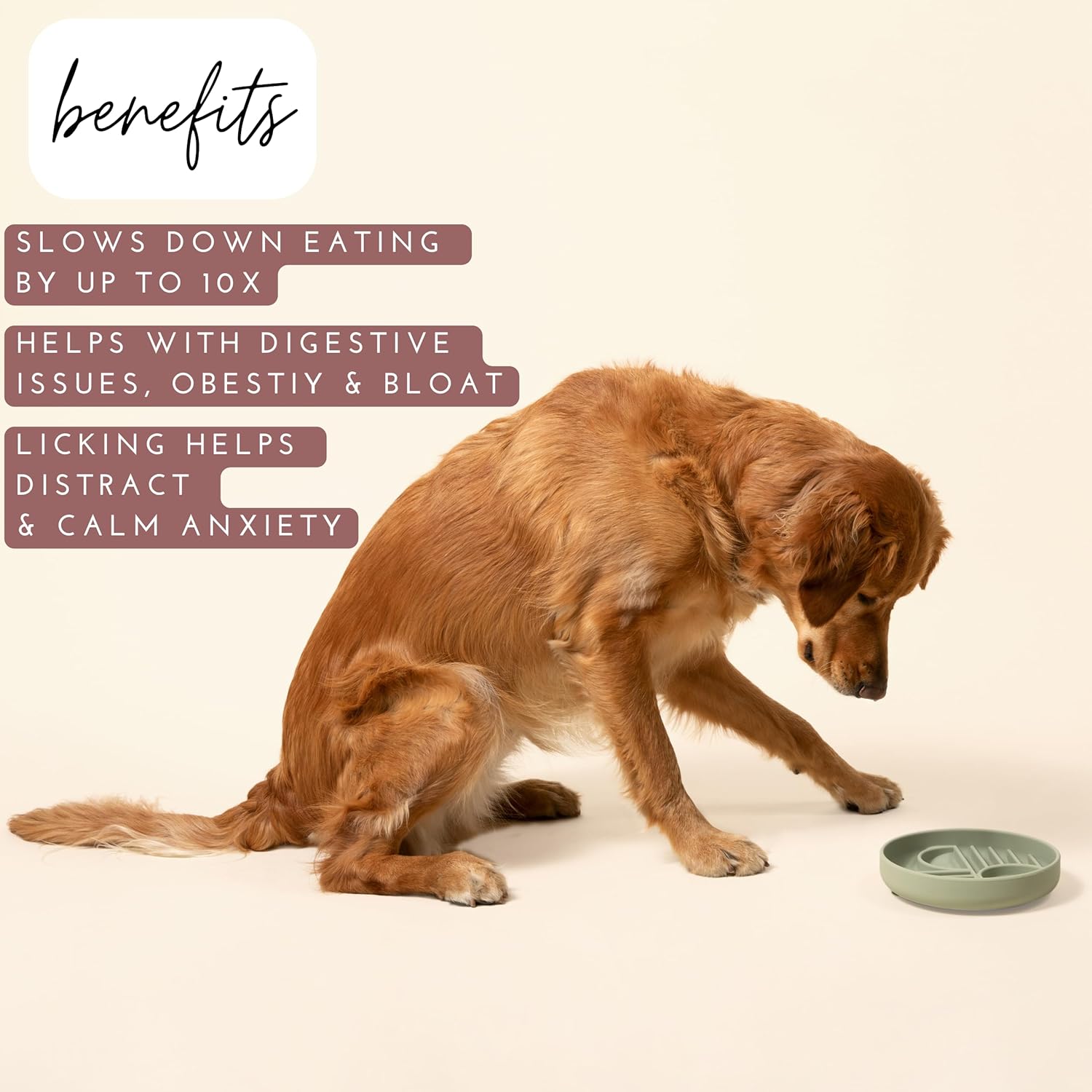HKM-7791549 Silicone Slow Feeder Bowl for Dogs and Puppies - Reduces Gulping and Supports Digestive Health