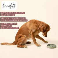 HKM-7791549 Silicone Slow Feeder Bowl for Dogs and Puppies - Reduces Gulping and Supports Digestive Health