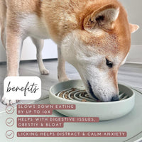 HKM-7791549 Silicone Slow Feeder Bowl for Dogs and Puppies - Reduces Gulping and Supports Digestive Health