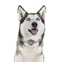 HKM-7793725 GPS Pet Locator with Vibration Alarm and Waterproof Design, ABS Material, IP67, 100-Hour Battery Life