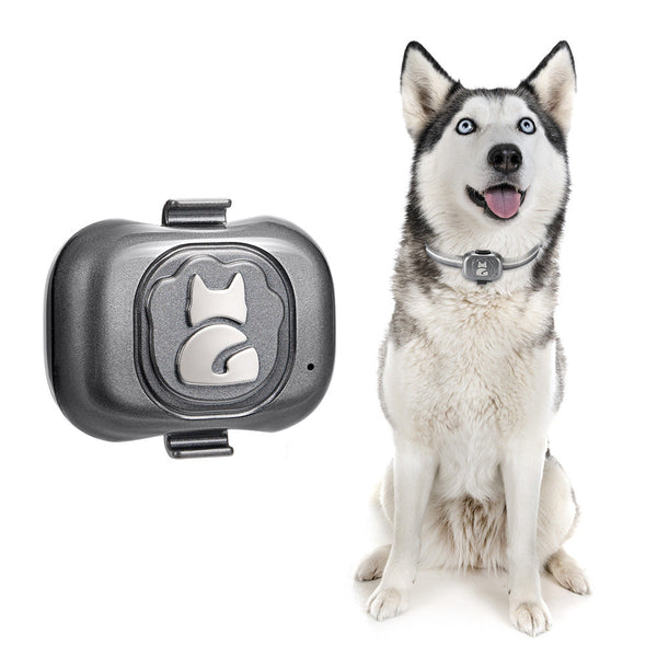 HKM-7793725 GPS Pet Locator with Vibration Alarm and Waterproof Design, ABS Material, IP67, 100-Hour Battery Life