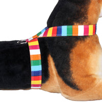 HKM-7793853 Colorful Canvas PU Dog Walking Rope with Adjustable Chest Strap - Size S, M, L, XL, XXL