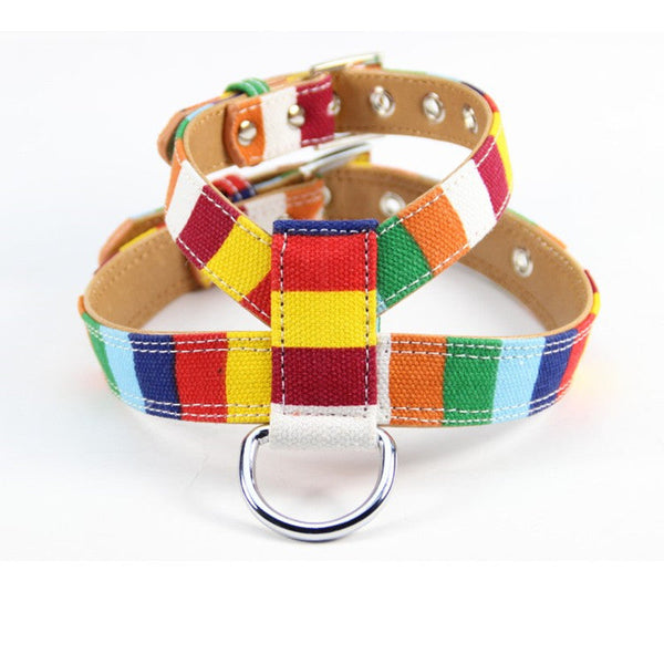 HKM-7793853 Colorful Canvas PU Dog Walking Rope with Adjustable Chest Strap - Size S, M, L, XL, XXL