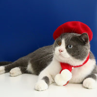 HKM-7796029 Pet Cat and Dog Accessory Set - Monochrome Cashmere Necklet with Wool Caps and Bow Collar