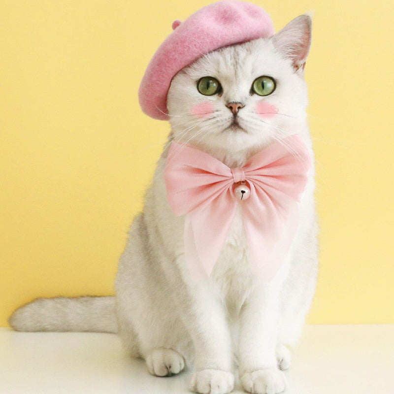 HKM-7796029 Pet Cat and Dog Accessory Set - Monochrome Cashmere Necklet with Wool Caps and Bow Collar