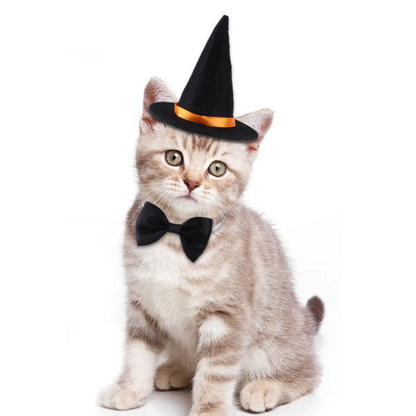 HKM-7796285 Halloween Pet Costume with Wizard Hat and Bow Tie, Red and Black Cloth, One Size
