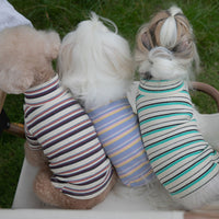 HKM-7798461 Comfortable Long-Sleeved Striped Waffle Pet Shirt for Dogs and Cats in Curry Apricot, Green Apricot, Blue Yellow