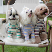 HKM-7798461 Comfortable Long-Sleeved Striped Waffle Pet Shirt for Dogs and Cats in Curry Apricot, Green Apricot, Blue Yellow