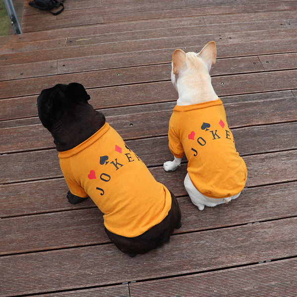 HKM-7799101 Schnauzer Teddy Dog Sweatshirt in Pure Cotton for Small Dogs and Cats