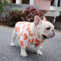 HKM-7800381 Thickened Plush Dog Coat for Autumn and Winter in Green and Orange