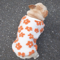 HKM-7800381 Thickened Plush Dog Coat for Autumn and Winter in Green and Orange