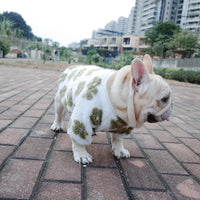 HKM-7800381 Thickened Plush Dog Coat for Autumn and Winter in Green and Orange
