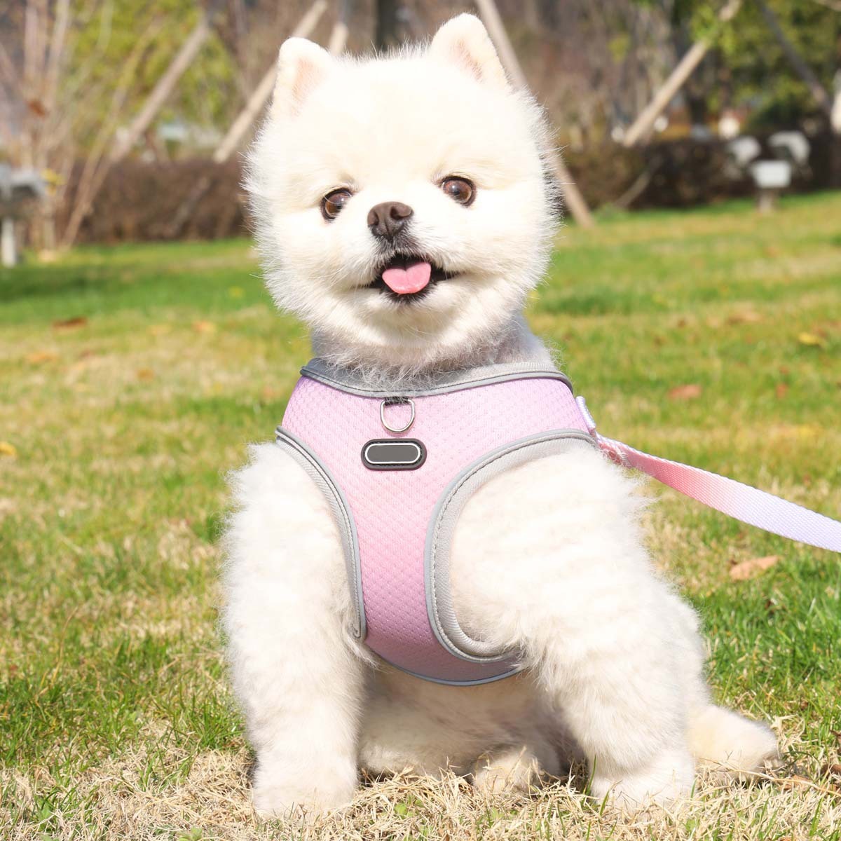 HKM-780243 Lightweight Polyester Dog Chest Strap with Traction Rope - Solid Color Options Available