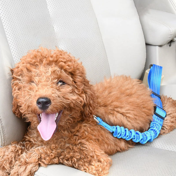 HKM-7803581 Adjustable Elastic Dog Car Seat Belt with Reflective Strip - 50cm to 60cm Length, Available in Multiple Colors