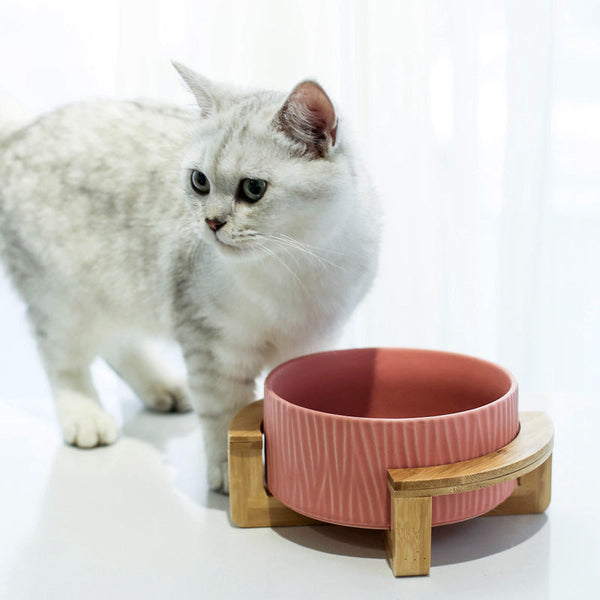 HKM-7805757 Modern Ceramic Cat Food and Drinking Bowl - Available in Multiple Colors