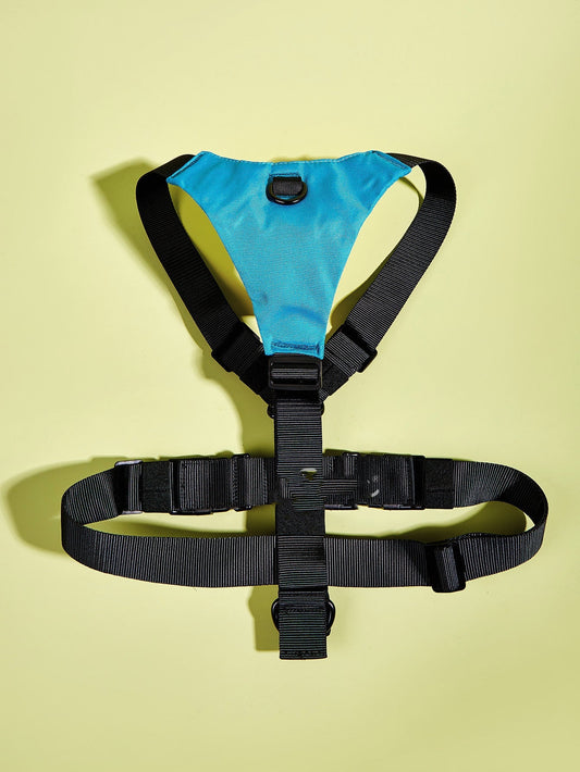 HKM-7808829 Adjustable Dog Chest Harness with Color Matching Leash - Durable 600D Oxford Cloth and Mesh Design