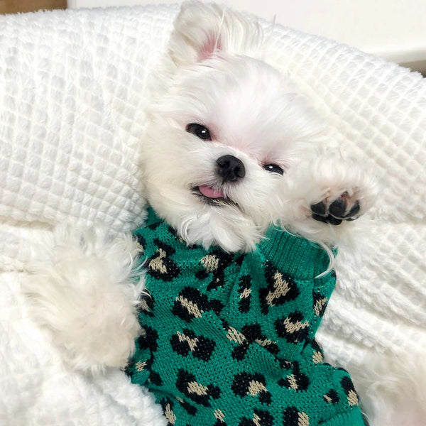 HKM-7813309 Knitted Sleeveless Leopard-Print Sweater for Small Dogs and Cats