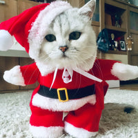 HKM-7820733 Pet Nun Cloak Halloween Costume for Dogs and Cats - Polyester Outfit in Various Sizes