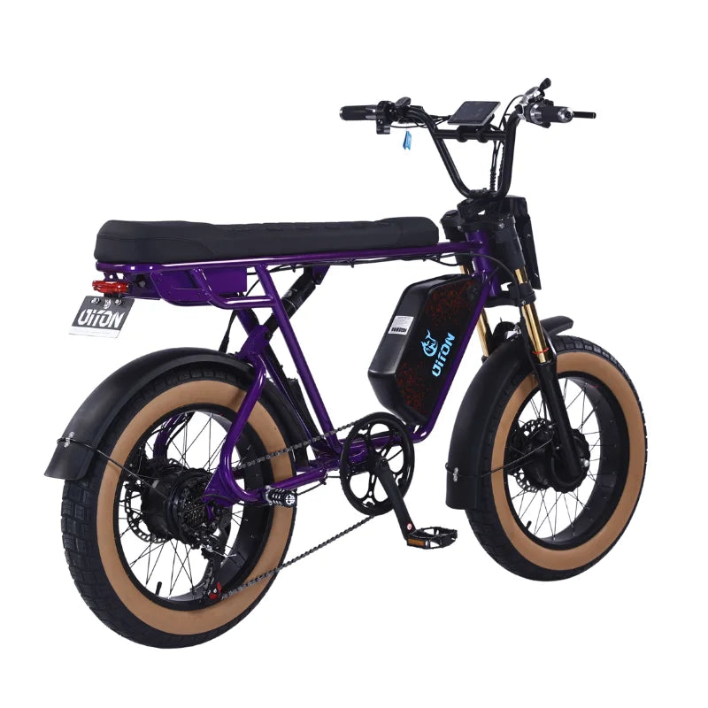 HKM-782099 Electric Bike D1 Max 48V 25Ah Lightweight City Commuter with 7-Speed Gears and Hydraulic Disc Brakes