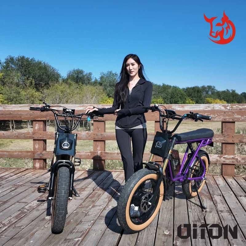 HKM-782099 Electric Bike D1 Max 48V 25Ah Lightweight City Commuter with 7-Speed Gears and Hydraulic Disc Brakes