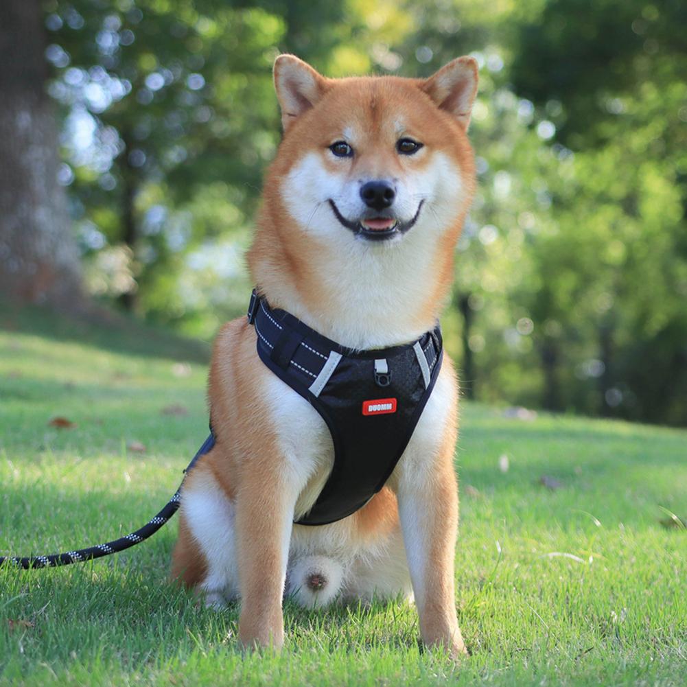 HKM-7823677 Breathable Nylon No-Pull Dog Harness with Adjustable Fit and Reflective Strip for Safe Outdoor Use