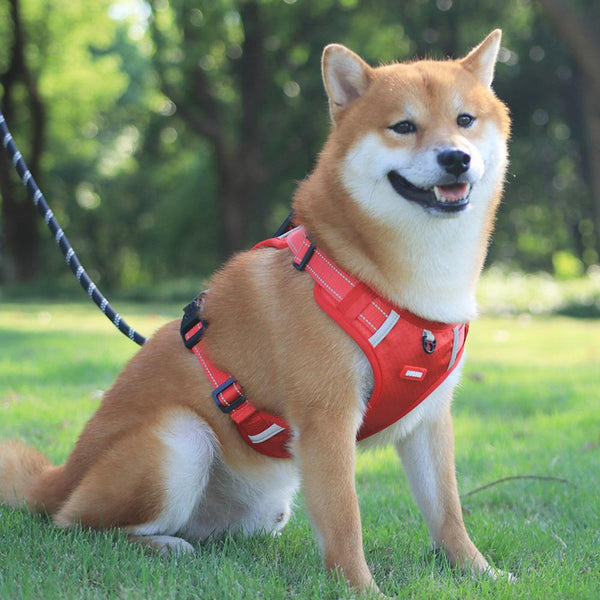 HKM-7823677 Breathable Nylon No-Pull Dog Harness with Adjustable Fit and Reflective Strip for Safe Outdoor Use