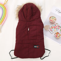 HKM-7825469 Cozy Cotton-Padded Casual Wear for Small Dogs in Autumn/Winter
