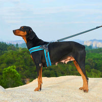 HKM-7826621 Breathable Herringbone Pet Chest Harness and Traction Rope Set, Reflective Design, Comfortable Fit for Dogs