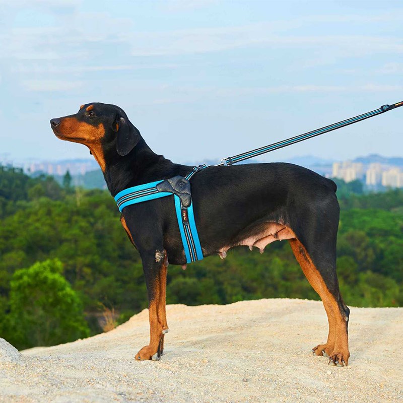 HKM-7826621 Breathable Herringbone Pet Chest Harness and Traction Rope Set, Reflective Design, Comfortable Fit for Dogs