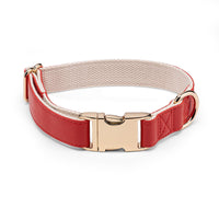 HKM-7828797 High-Quality Monochrome Pet Collar with Metal Buckle in Various Colors and Sizes S, M, L