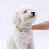 HKM-7828797 High-Quality Monochrome Pet Collar with Metal Buckle in Various Colors and Sizes S, M, L